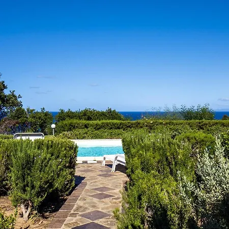 Li Chessi Blu